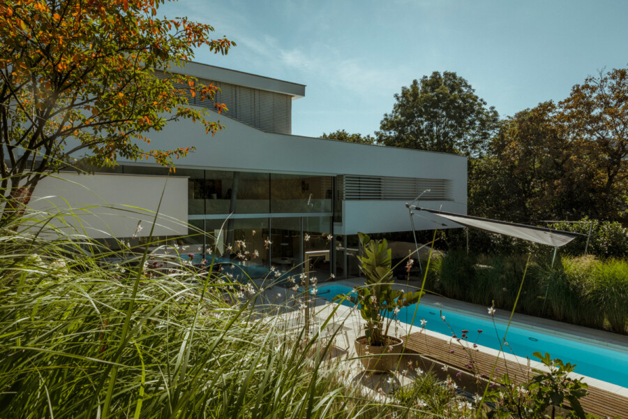 Contemporary white house with glass walls and a long rectangular pool, shaded seating area, and lush landscaping including tall grasses and a tree with autumn leaves.