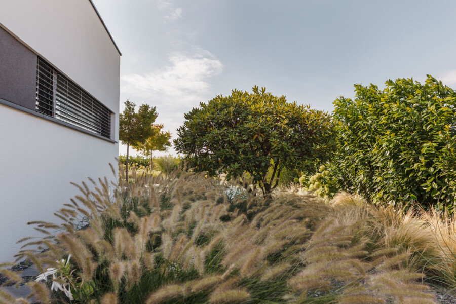 3955 kramer und kramer gartenkatsey