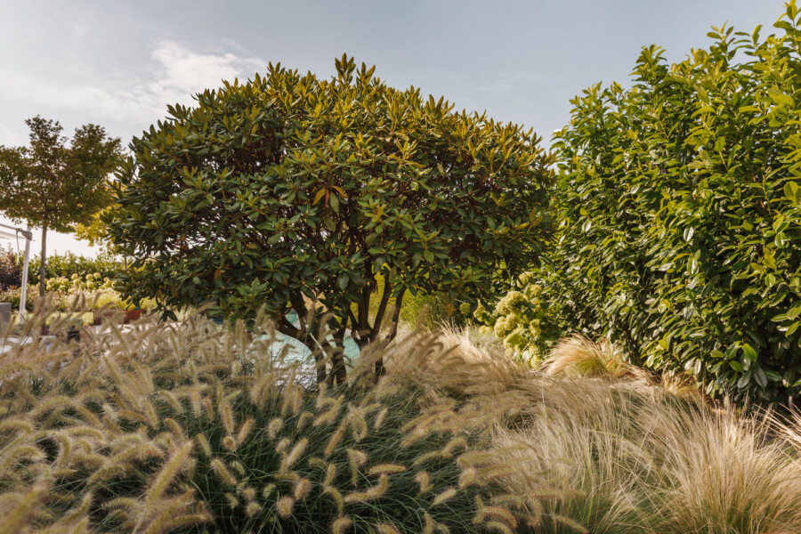 3962 kramer und kramer gartenkatsey