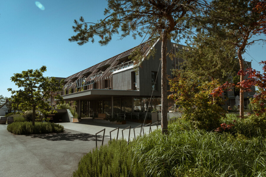 DSC1851 kramer und kramer gartenkatsey