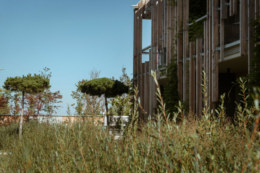 DSC1919 kramer und kramer gartenkatsey