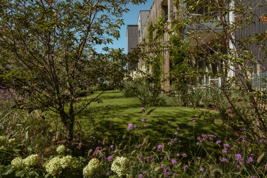 DSC1940 kramer und kramer gartenkatsey