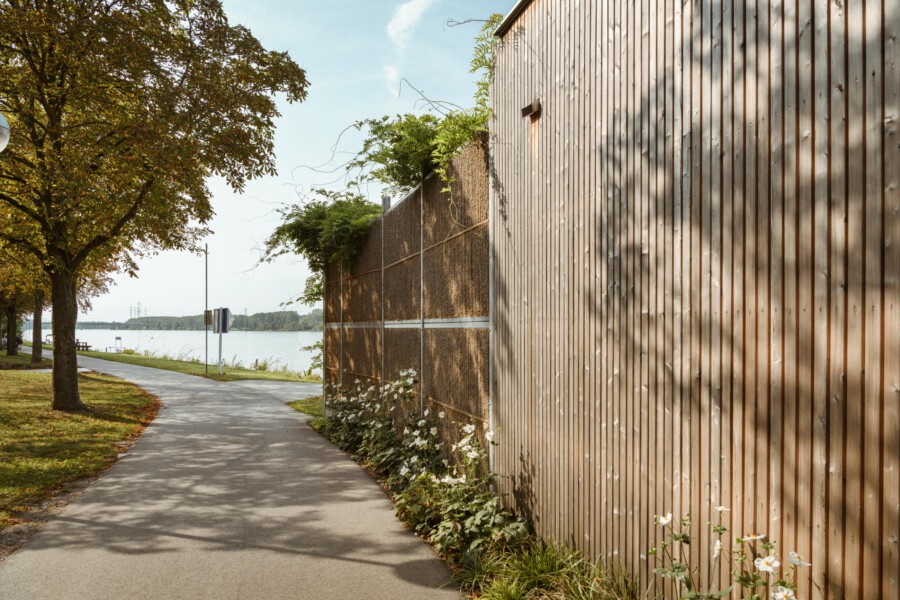 Uferweg am Fluss, rechts hölzerner Zaun; Rankpflanzen wachsen darüber; am Zaunfuß weiße Blüten von Leucanthemum vulgare.
