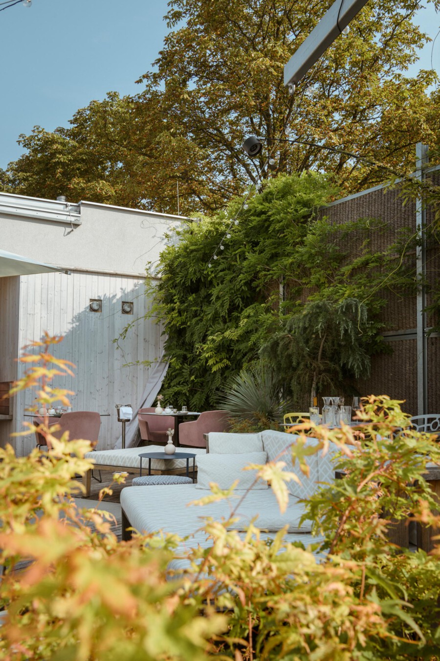 Terrassenlounge mit Sitzmöbeln; Vordergrund Acer palmatum, Japanischer Ahorn; Yucca sp.; Hintergrund Thuja sp.