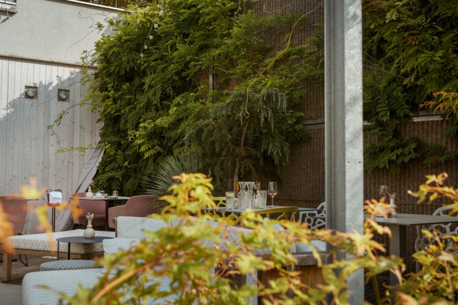Außenterrasse eines Cafés mit gedeckten Tischen und Gläsern; Hedera helix an der Wand, Acer palmatum im Vordergrund, gemütliche Sitzgruppe.