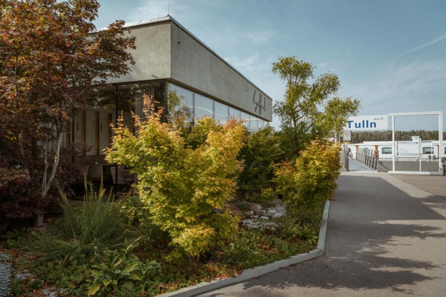Laubgehölzgruppe Acer palmatum (Japanischer Ahorn) vor modernem Bürogebäude; Herbstfärbung, Gehweg.