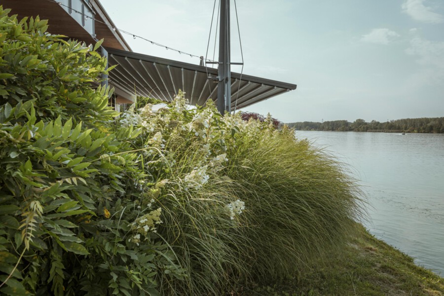 Uferbereich mit Ziergras (Calamagrostis x acutiflora) und Sträuchern am See; linkes Gebäude mit Markise, ruhiger Wasserblick.