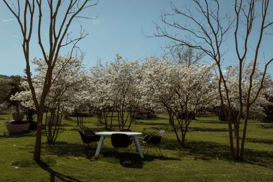 Park mit blühenden Prunus sp. Bäumen (Zierkirschen) und runder Tisch mit Stühlen im Gras