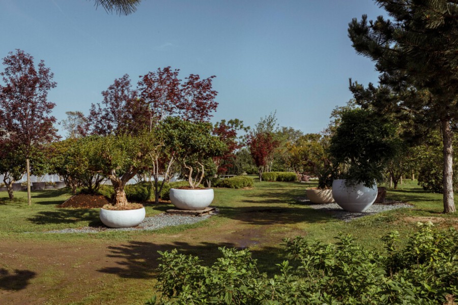 T1 A4716 kramerundkramer garten katsey