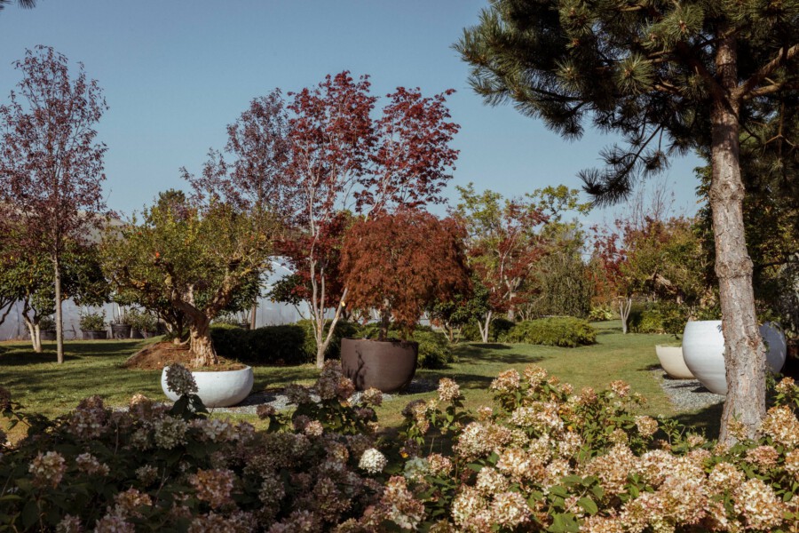 T1 A7477 kramerundkramer garten katsey