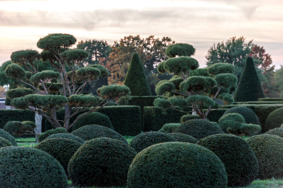 Bruns 10 18 231 4498