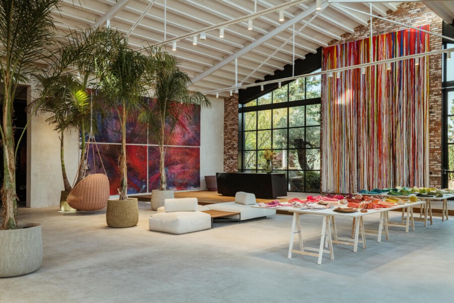 Dypsis lutescens Areca-Palmen im hellen Ausstellungsraum mit weißen Deckenbalken und farbiger Stoffbahn-Installation.