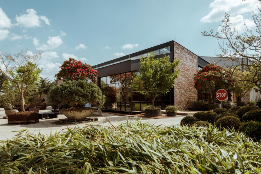 Moderne Backstein-Gebäudefassade, Gartenanlage; Vordergrund: Agave sp., topierte Bäume und Bougainvillea sp. mit roten Blüten.