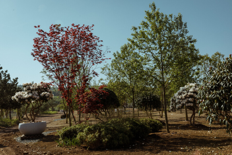 T1 A3096 kramerundkramer gartenkatsey