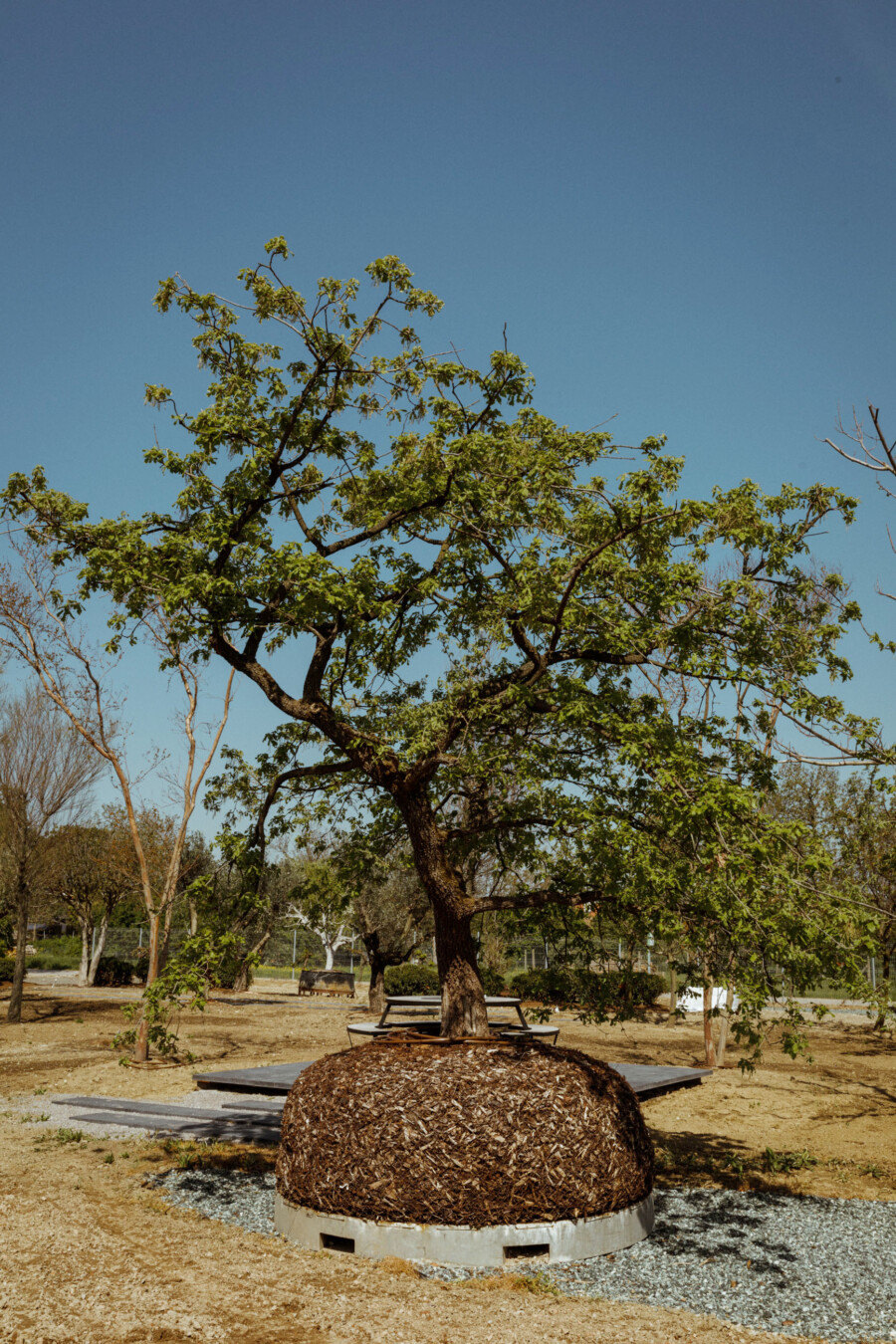 T1 A3182 kramerundkramer gartenkatsey