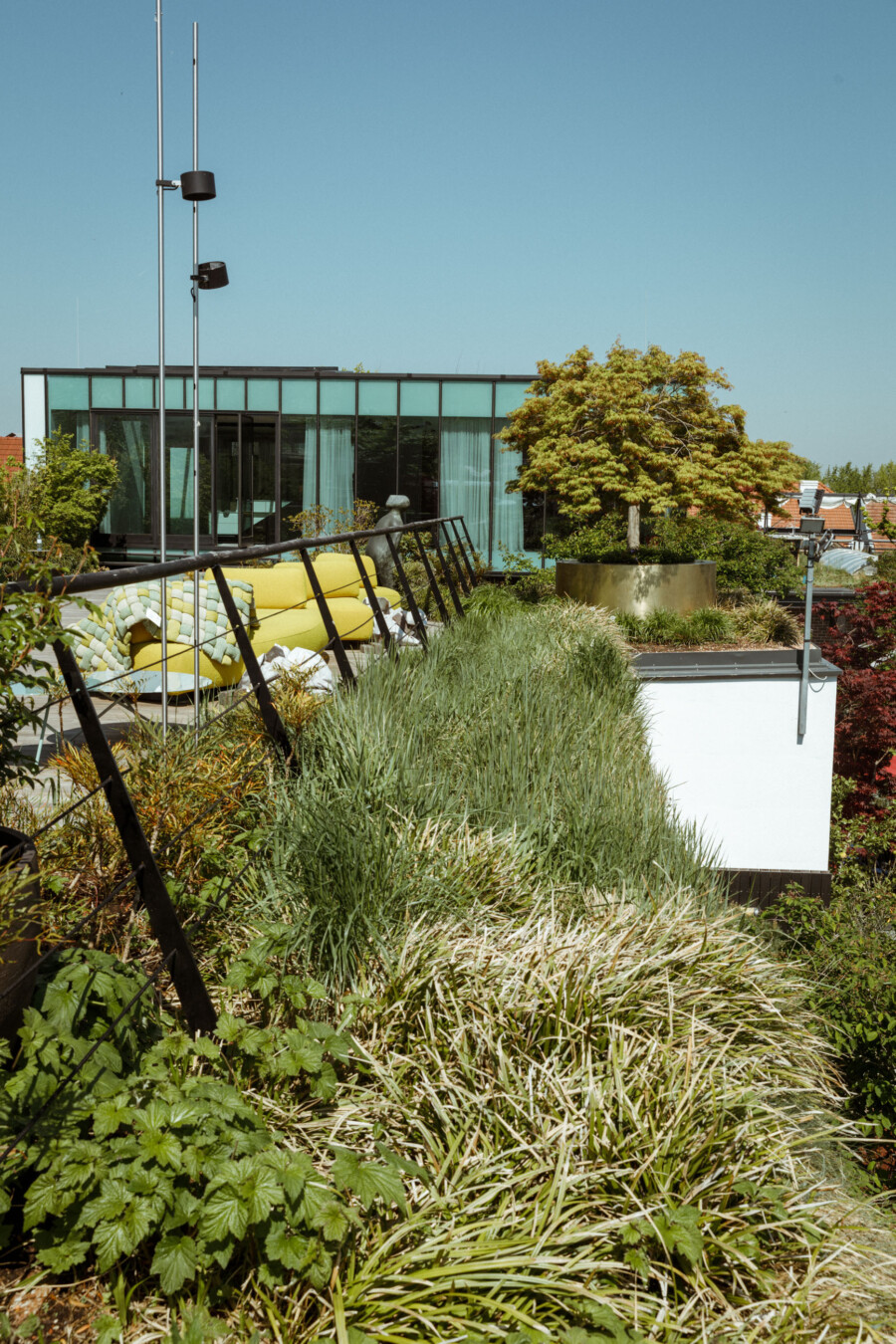 T1 A3428 kramerundkramer gartenkatsey