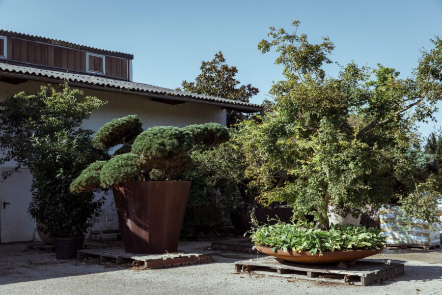 T1 A0057 kramer und kramer garten katsey