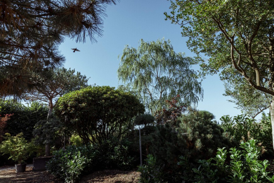 T1 A0122 kramer und kramer garten katsey