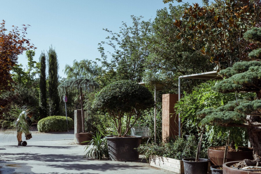 T1 A0161 kramer und kramer garten katsey