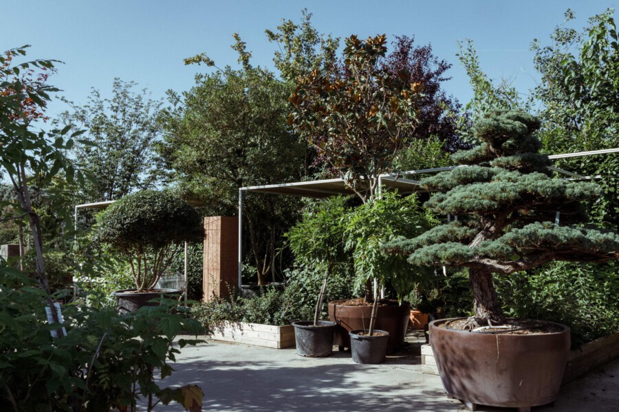 T1 A0167 kramer und kramer garten katsey