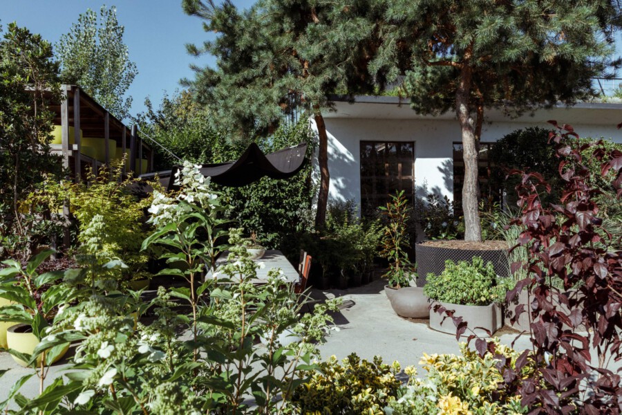 T1 A0206 kramer und kramer garten katsey