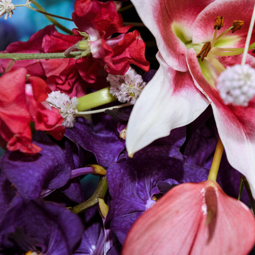 DSC7928 kramerundkramer gartenkatsey 02