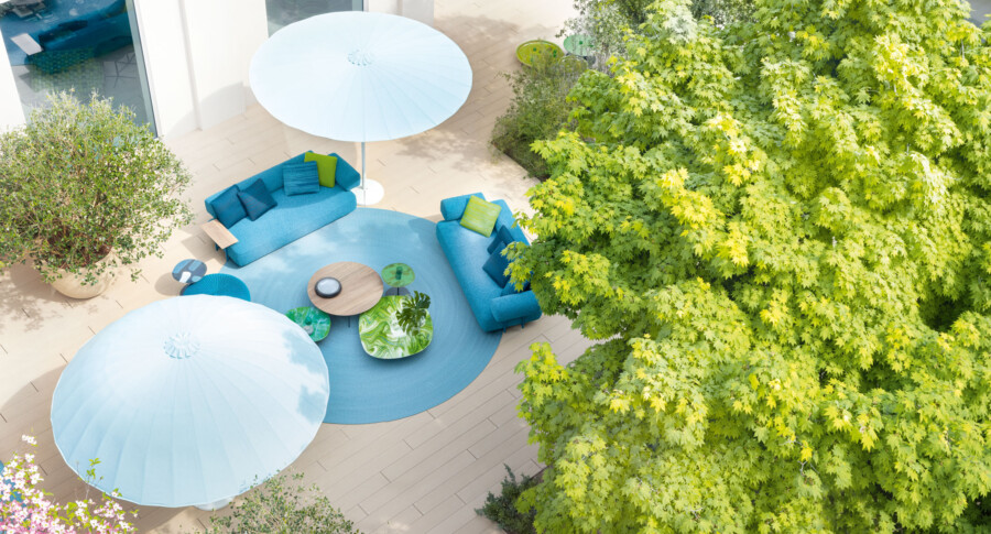 Outdoor patio with blue couches around circular rug, two blue umbrellas, tan tile deck, and lime-green Acer sp. tree on the right.