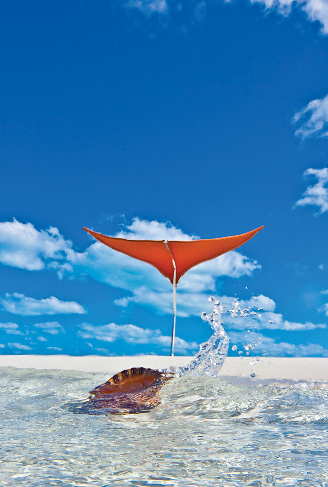 Edited JP Gs Component 7 tuuci kramer und kramer