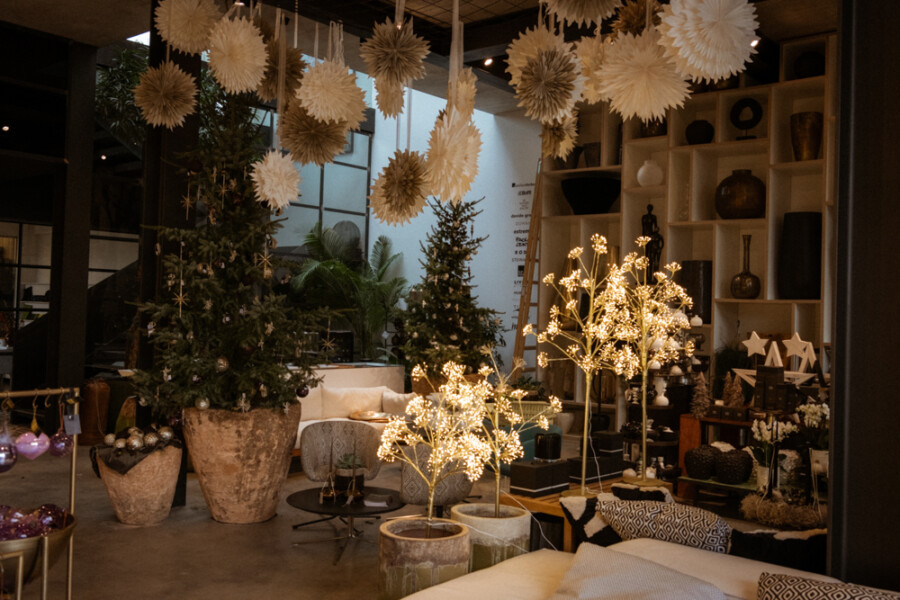 Weihnachtsdekoration in einer Boutique: beleuchtete Mini-Bäumchen, große Topftannen, hängende Papiersterne, gemütliche Sitzecke und Regale mit Vasen und Ornamenten.