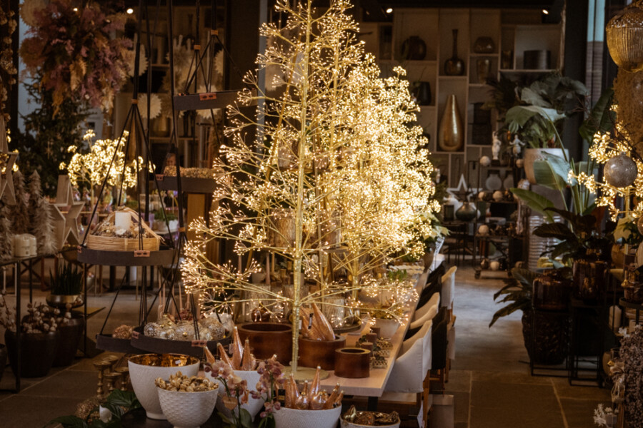 Leuchtendes goldenes Deko-Bäumchen im Dekorationsladen, umgeben von Tischen, Körben, Pflanzen und Vasen.