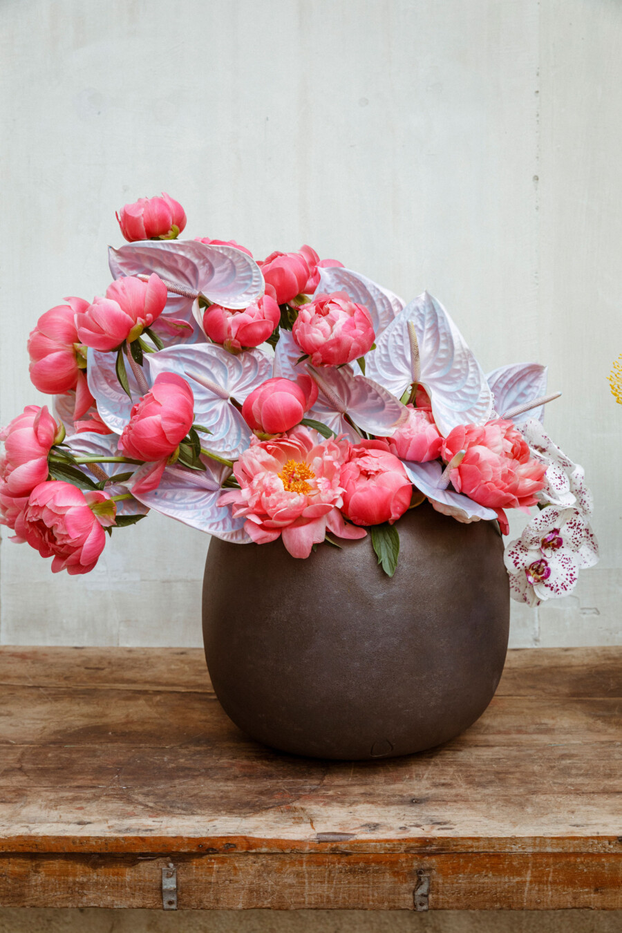 T1 A7655 kramerundkramer garten katsey