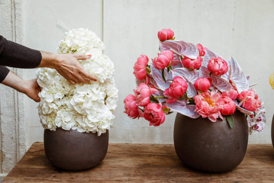 T1 A7768 kramerundkramer gartenkatsey