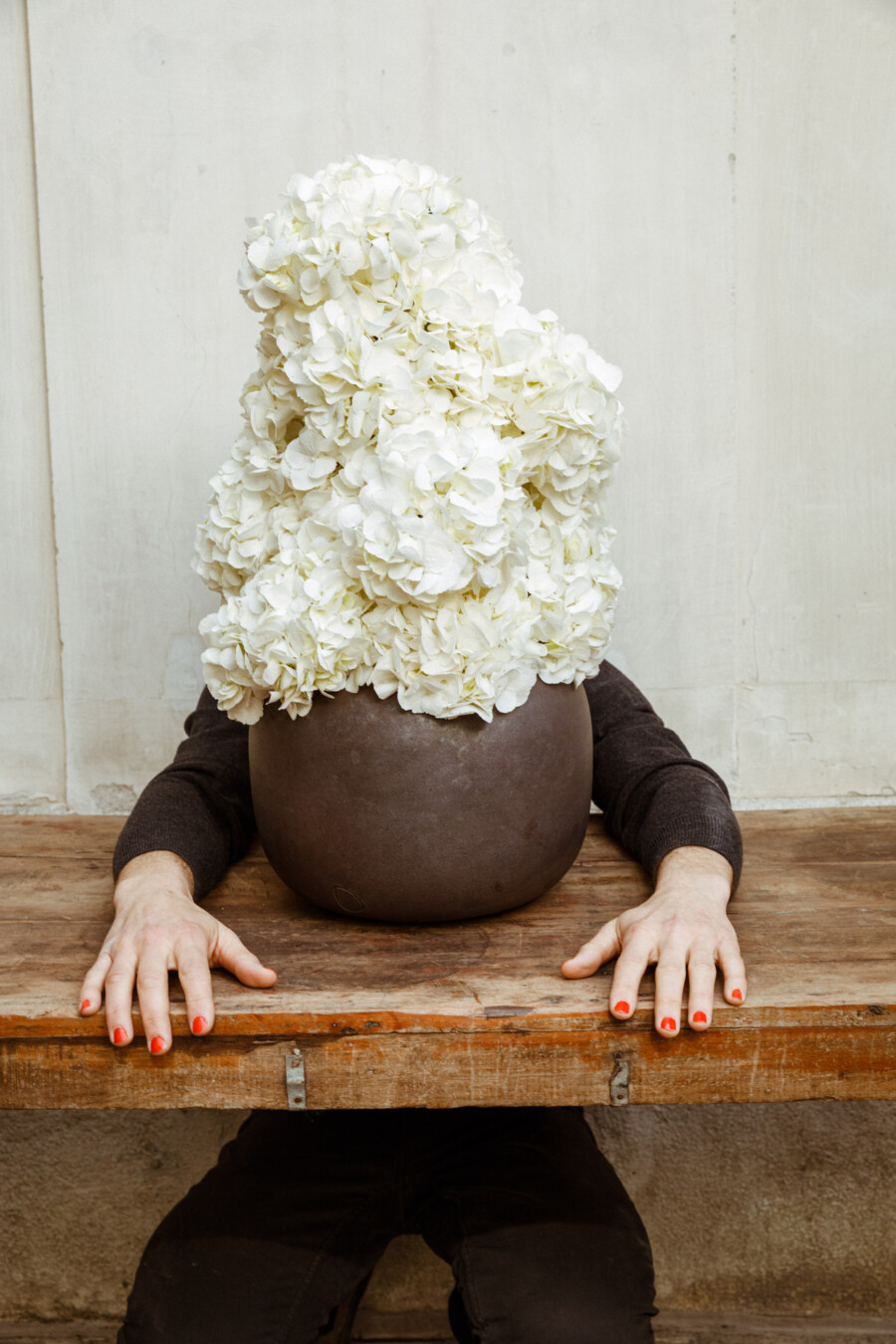 T1 A8004 kramerundkramer gartenkatsey