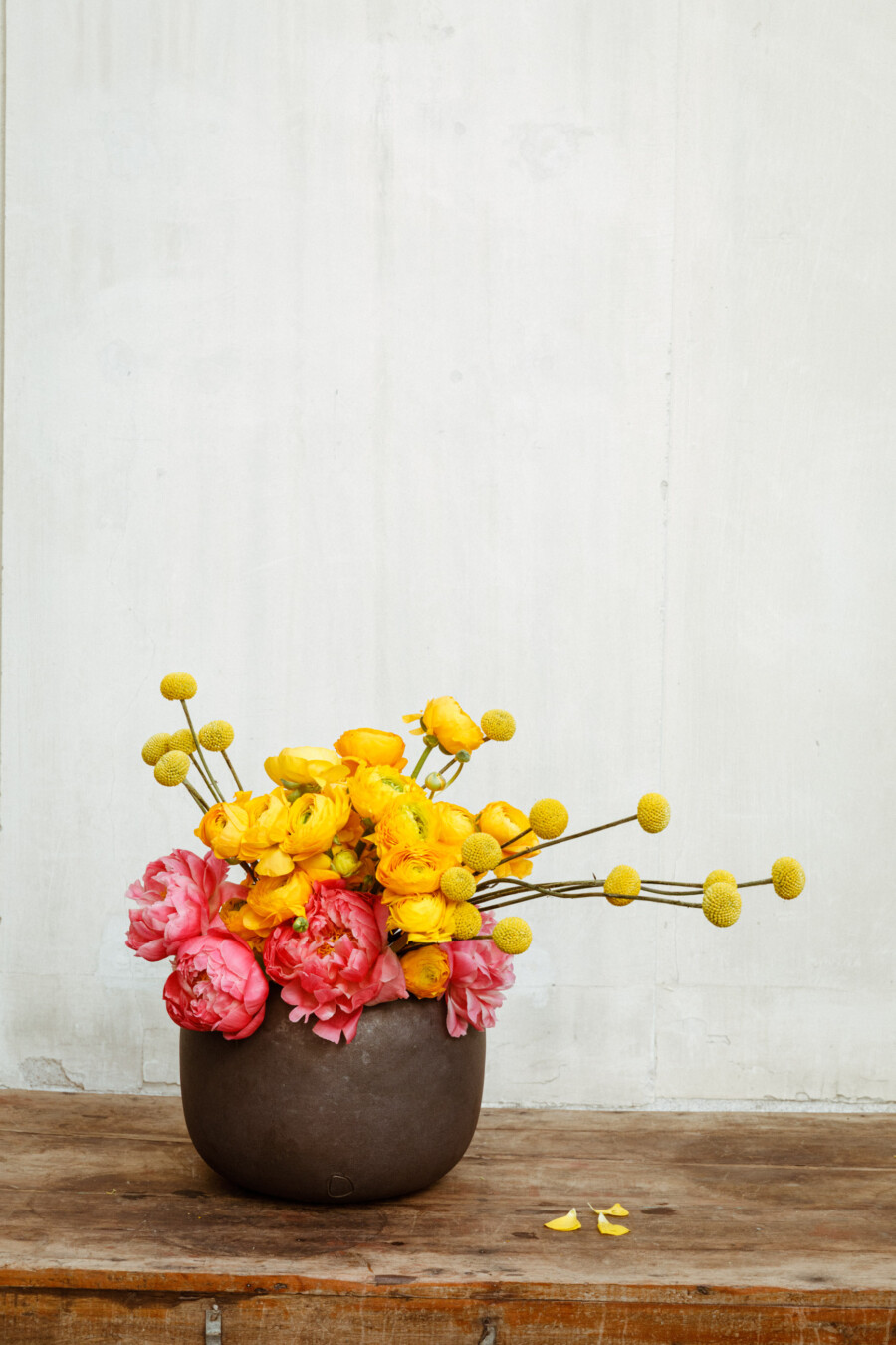 T1 A8138 kramerundkramer gartenkatsey