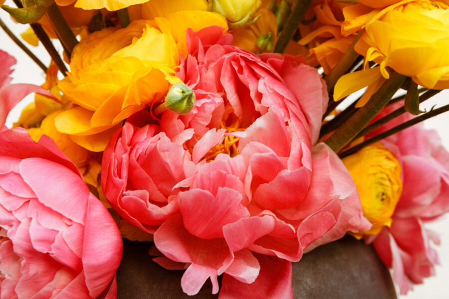 T1 A8157 kramerundkramer gartenkatsey