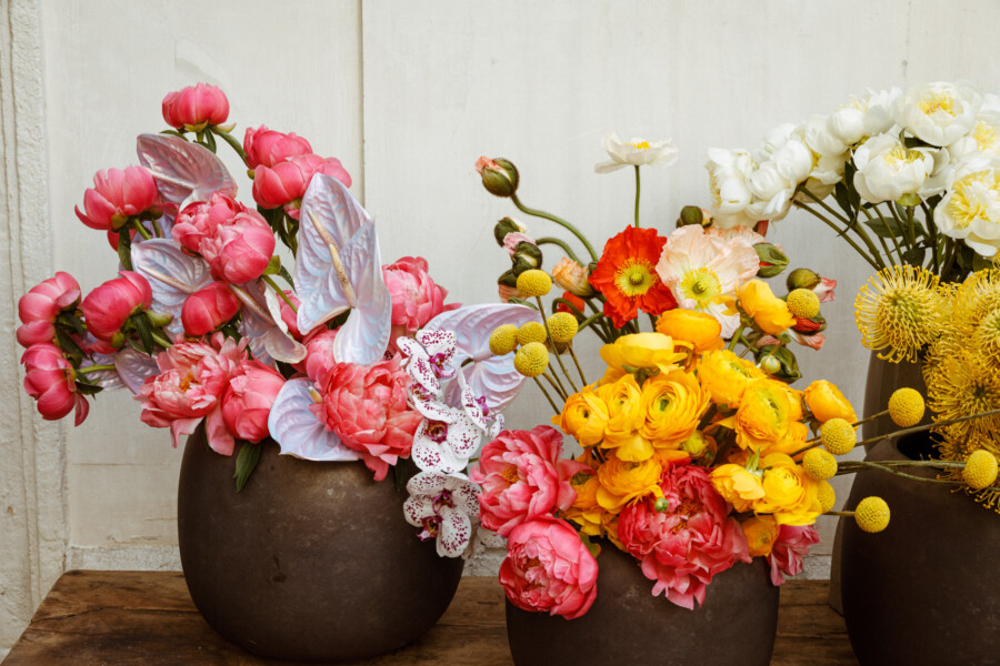 T1 A8196 kramerundkramer gartenkatsey