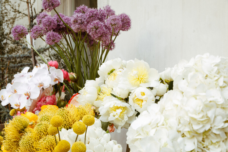 T1 A8228 kramerundkramer gartenkatsey