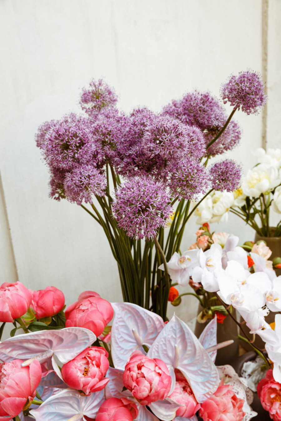 T1 A8235 kramerundkramer gartenkatsey