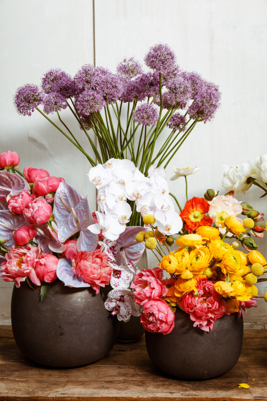 T1 A8262 kramerundkramer gartenkatsey