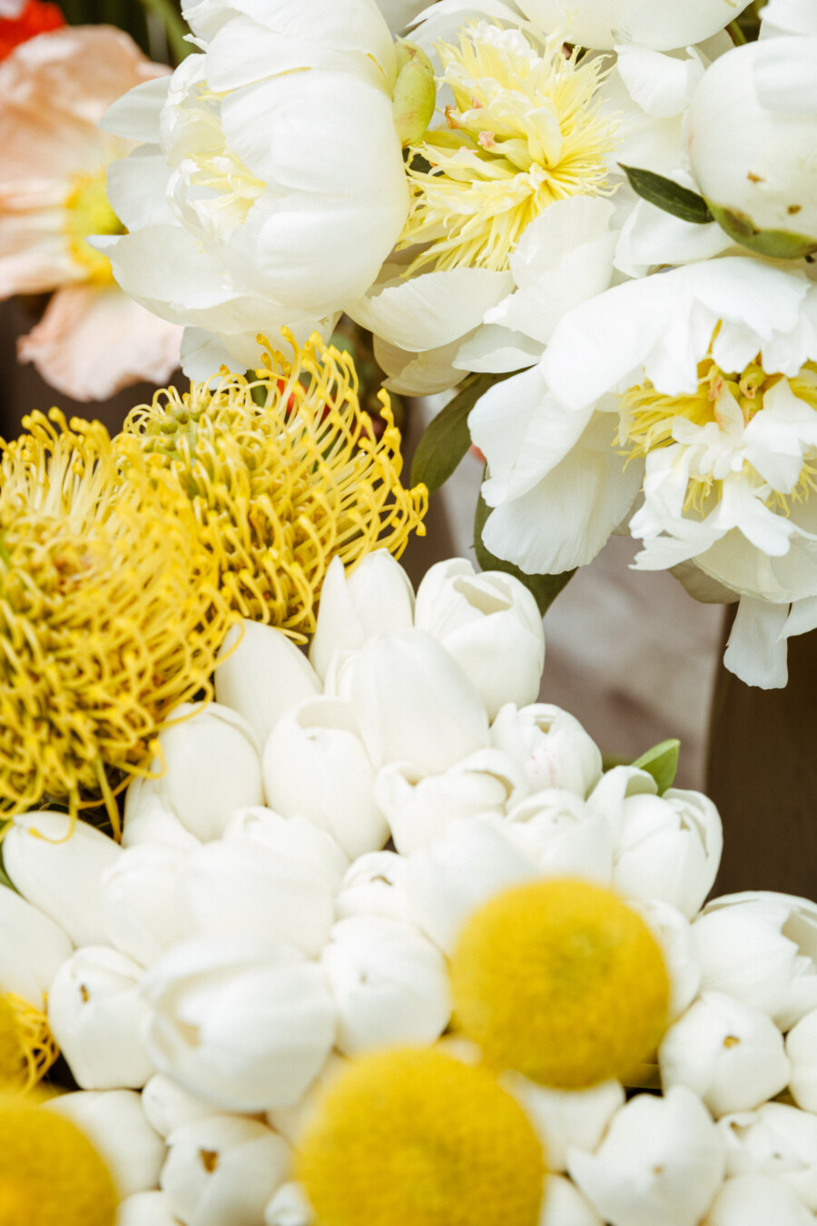 T1 A8292 kramerundkramer gartenkatsey