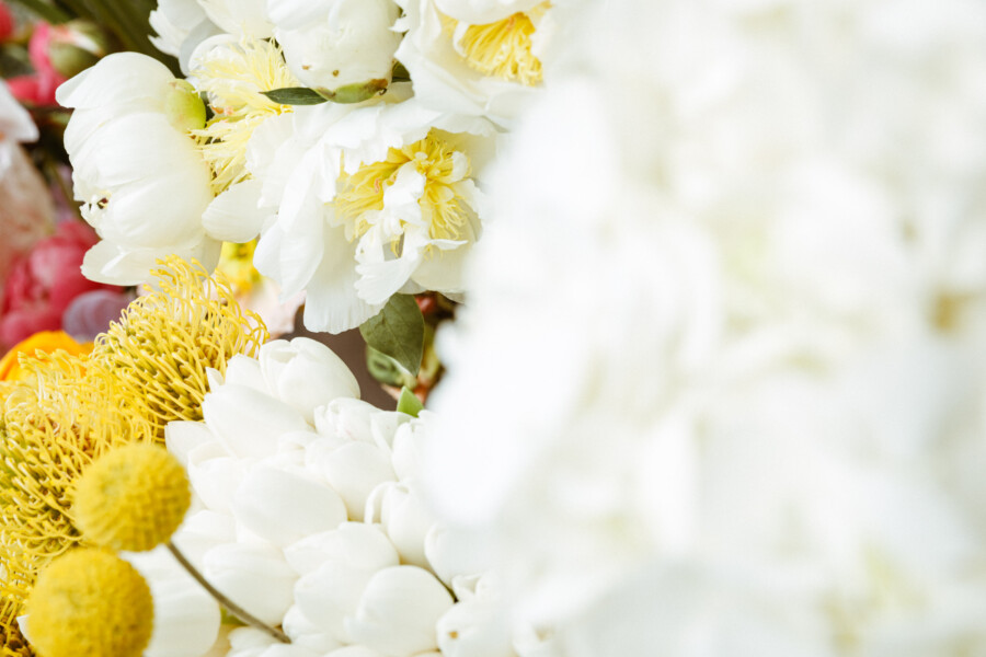 T1 A8294 kramerundkramer gartenkatsey