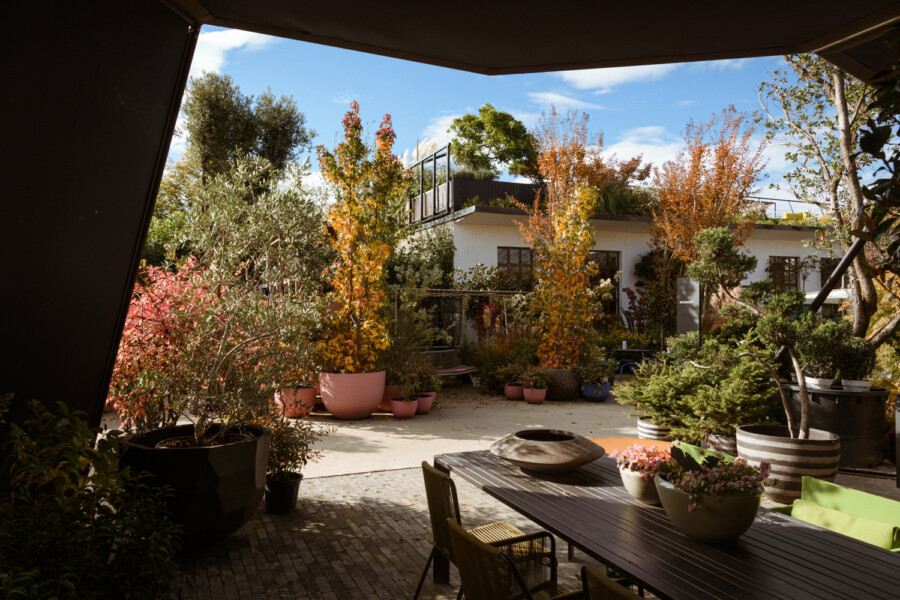 Sunny courtyard garden with colorful potted trees and plants, a long dining table, and a white house in the background under a blue sky.