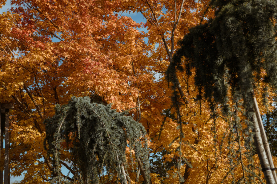 Kramerundkramer 1485