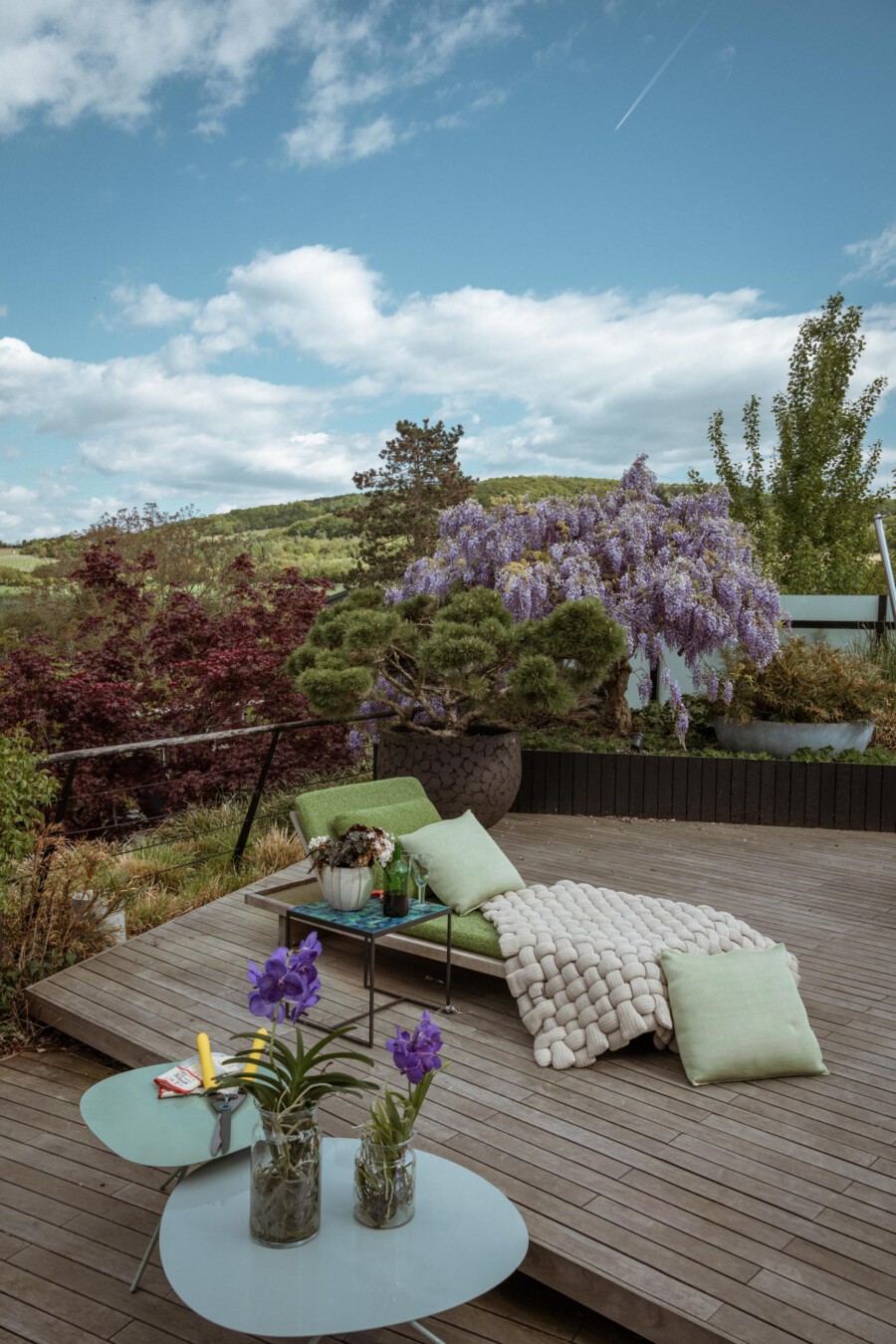 Holzterrasse mit Loungebereich; violette Wisteria sinensis-Blüten hängen über einer Bonsai-Kiefer, dahinter hügeliges Grünland